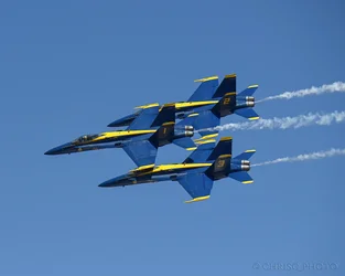 123.webp