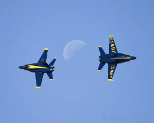 Dancing-With-the-Moon2.webp