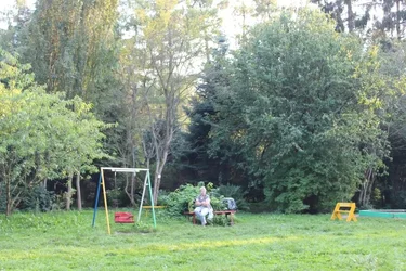 IMG_0527.webp