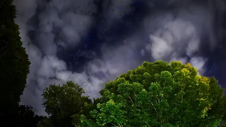 NIGHT SKY CLOUDY.webp