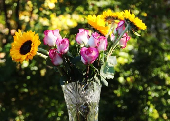 IMG_0009.webp