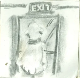 scan0011.webp