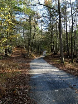 rs Divergent Path.webp