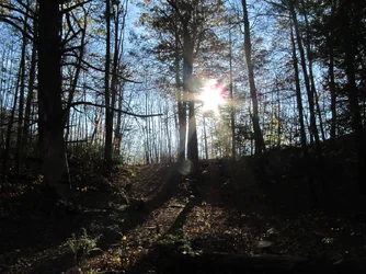 rs Sunny Trail.webp