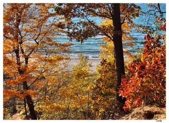Beach Autumn sig.webp