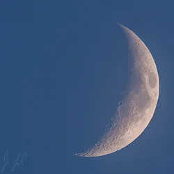 moon.webp