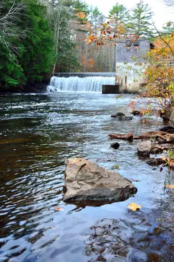 BRI_6658_3748.webp