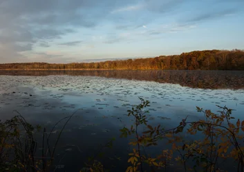 Fall Pond.webp