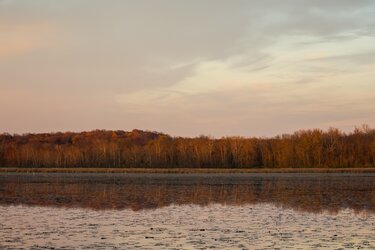 Marsh Reflection.jpg