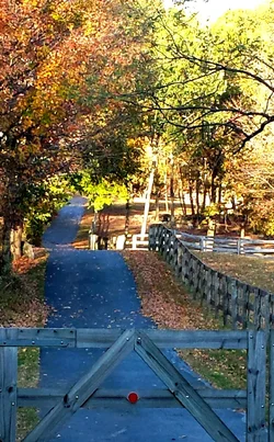 2014-10-19 17.18.03.webp 2014-10-19 17.18.03.webp