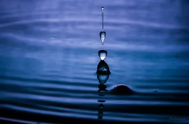 TET_3687-4t.webp