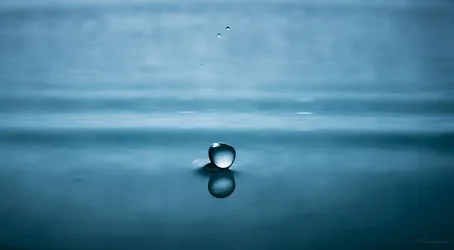 TET_3836-5t.webp