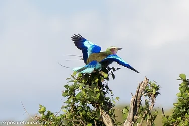 ms_10_11_140378.webp