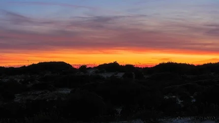 Last-Light.webp