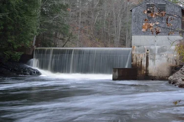 BRI_7016_3854.webp
