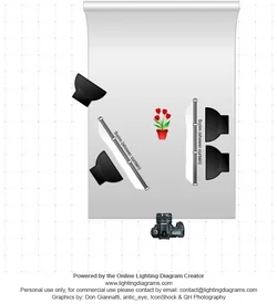 lighting-diagram-1415282827.webp