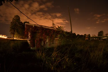 Overgrown.webp