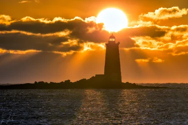 whalebacksunrise.webp