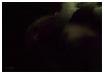 smoke small.webp