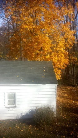 2014-11-13 10.00.21.webp