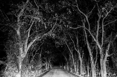 Cold Night-2.webp