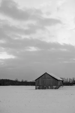November Barn Portrait B&W.webp November Barn Portrait B&W.webp