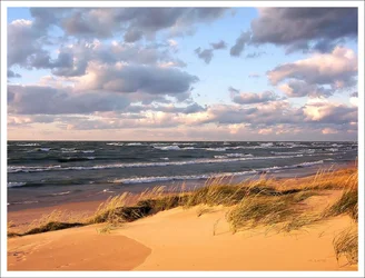 Beach Dune small.webp