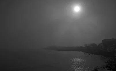 sunfog.webp