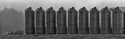 silos.jpg