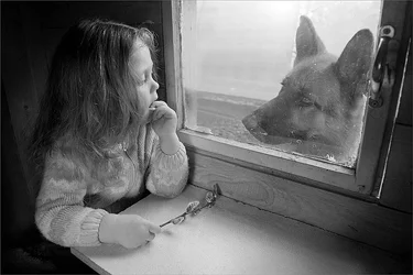 1013b.webp