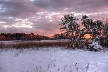 D610#2 Blackpoint-Snow HD15.webp
