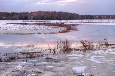 D610#2 Blackpoint-Snow HD17.webp