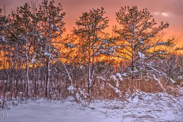 D610#2 Blackpoint-Snow HD13b.webp