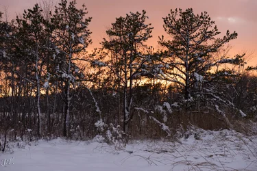D610#2 BlkptSnow_097.webp