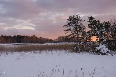 D610#2 BlkptSnow_100.webp