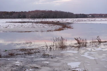 D610#2 BlkptSnow_114.webp