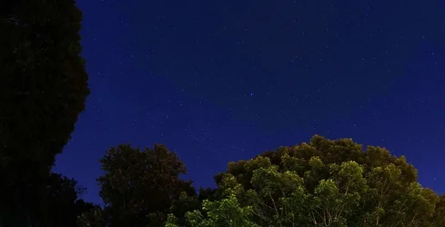 NIGHT SKY JULY 2014.webp NIGHT SKY JULY 2014.webp