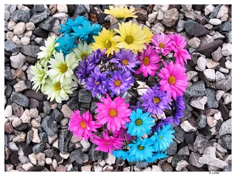 flowers sig.webp