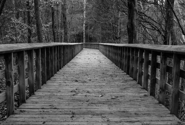Boardwalk B&W.webp