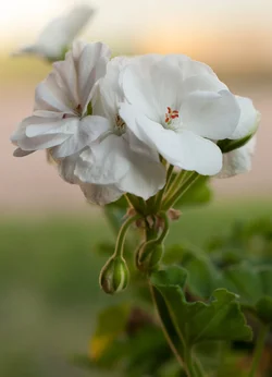 20131026-<untitled>3436.webp