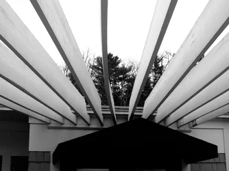DSCN4254.webp