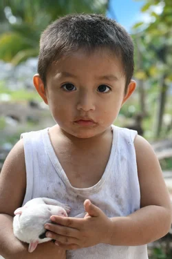 IMG_0025.webp IMG_0025.webp