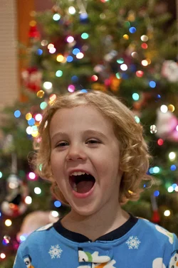 DSC9781_ReganTree_wbadjust2.webp