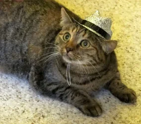 Mrs Parker with Hat looking straight.webp