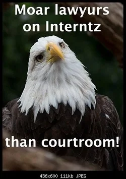 internet lawyer meme.webp