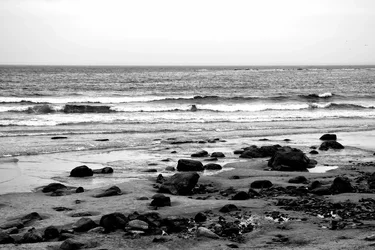 DSC_1382.webp