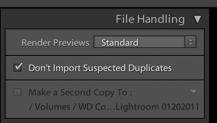 Lightroom-Close-Up-Dont-Import-Suspected-Duplicates.png