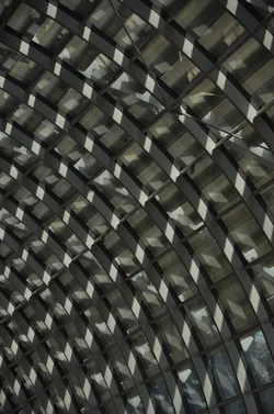 GJL_68-Lines.webp