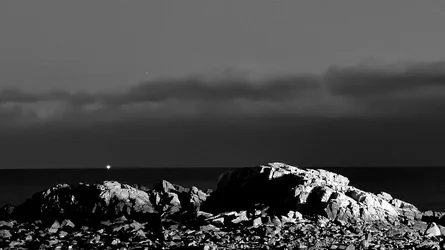 BRI_0022BW.webp