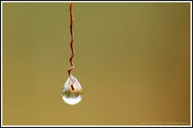droplet.webp droplet.webp